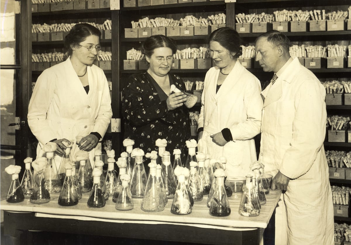 Historical black-and-white photograph of researchers examining fungal cultures in flasks in a laboratory.